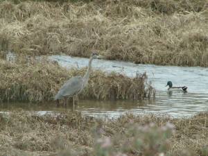 64767_841863489167340_2689617854800161876_n